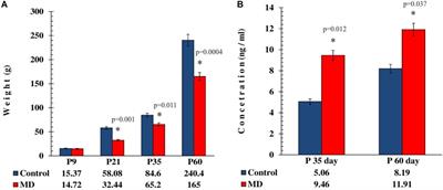 Long-Term Effects of Maternal Deprivation on the Volume of Dopaminergic Nuclei and Number of Dopaminergic Neurons in Substantia Nigra and Ventral Tegmental Area in Rats